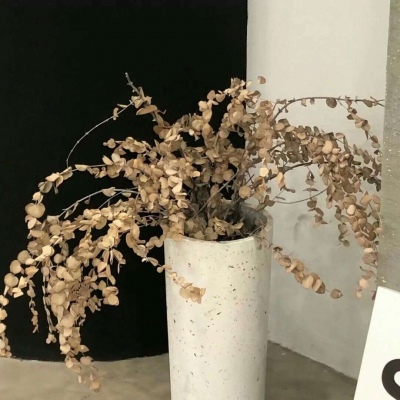 Furry创作思路分享兽圈社群